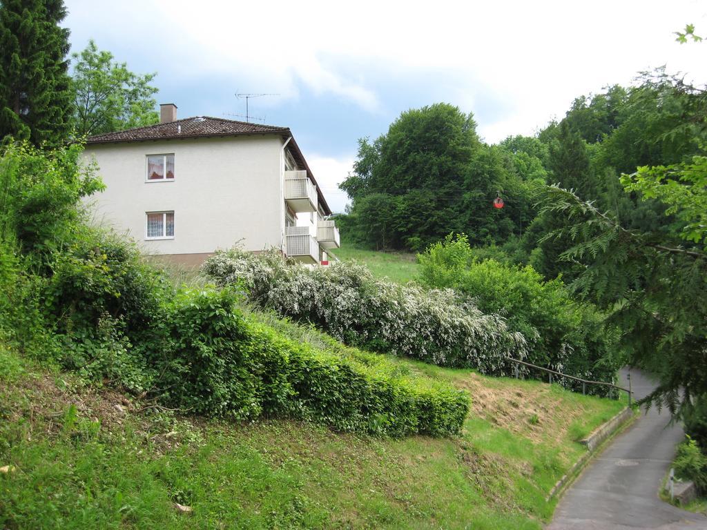 Schlossberg Ferienwohnung Waldeck  Zewnętrze zdjęcie